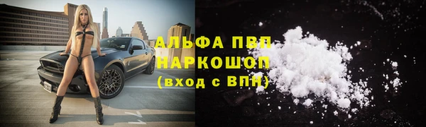 Альфа ПВП Арсеньев