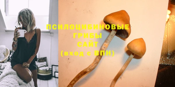 дурь Аркадак