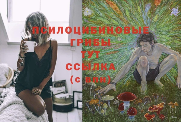 Альфа ПВП Арсеньев