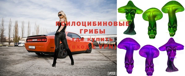 дурь Аркадак